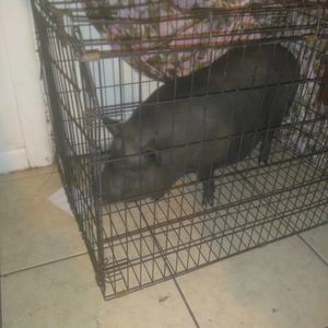 Meet your Posher, Christopher